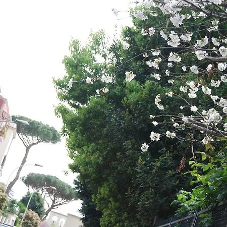 Casalalla Appartement Rome